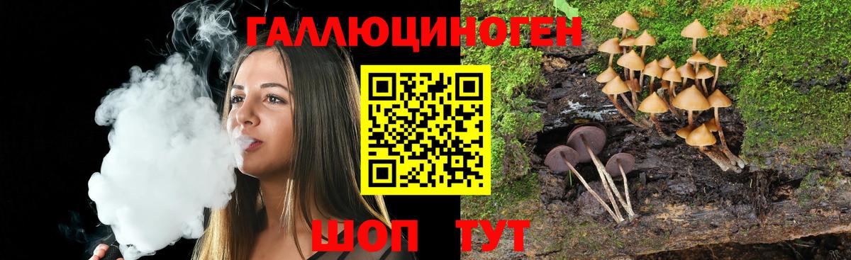 Галлюциногенные грибы мицелий Луховицы
