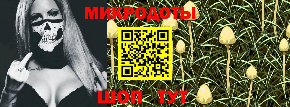 Луховицы  Псилоцибиновые грибы Cubensis  Вход с VPN 